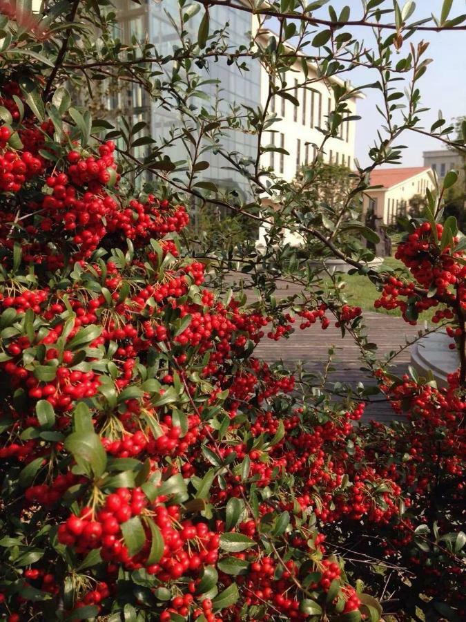 צ'ינגדאו Bauhinia Garden Hotel מראה חיצוני תמונה